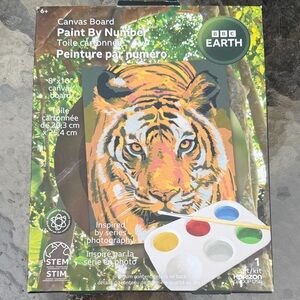 Earth Tiger Portrait Paint-By-Number — Orange, Yellow, Green, Black